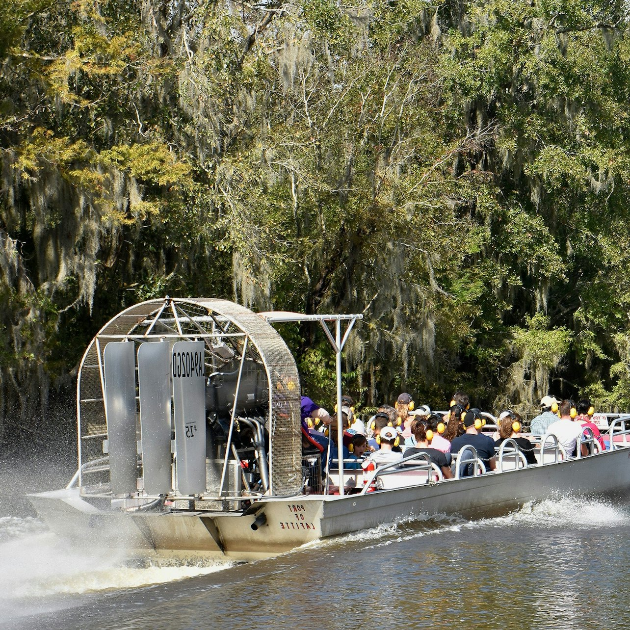 New Orleans: Airboat Adventure - Photo 1 of 8